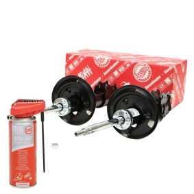 Stoßdämpfer 16K002581P von MASTER-SPORT günstig für 92,21 € online kaufen
