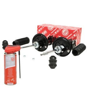Stoßdämpfer 16K002583P von MASTER-SPORT günstig für 108,16 € online kaufen