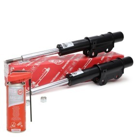 Stoßdämpfer 16K004191P