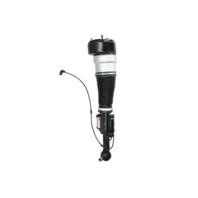 Luftfederbein APM021MT von Magnum Technology günstig für 794,47 € online kaufen