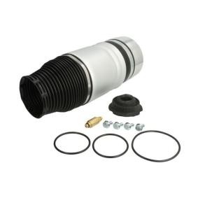 Luftfeder, Fahrwerk MZW007MT von Magnum Technology günstig für 527,86 € online kaufen