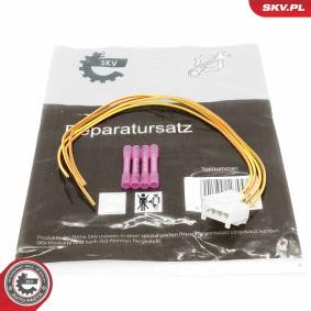Osta Kaapelinkorjaussarja, takalyhty ESEN SKV:llä 53SKV120 edullisesti hintaan 15,77 €