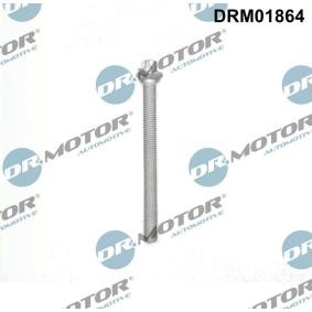 Schraube, Einspritzdüsenhalter DRM01864