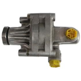Servopumpe GKNY10013