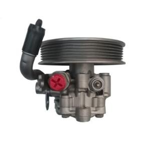 Servopumpe GKNY10080