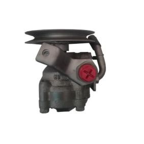 Servopumpe GKNY10094 von SPIDAN günstig für 365,93 € online kaufen