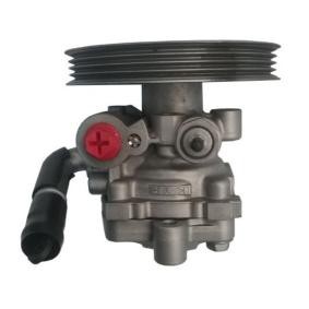 Servopumpe GKNY10101
