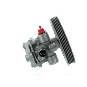 Servopumpe GKNY10120
