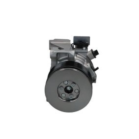 Acquista Compressore aria condizionata da BV PSH 090.185.021.500 a buon mercato per soli 480,96 €