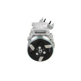 Acquista Compressore aria condizionata da BV PSH 090.215.070.907 a buon mercato per soli 341,64 €