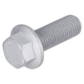 Bremssattelschraube 182484