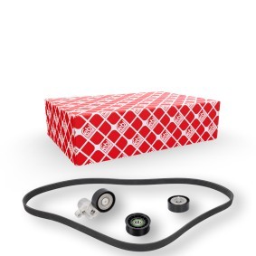 Keilrippenriemensatz 184826 für FORD