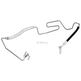 Acquista Flessibile idraulica, Sterzo da FEBI BILSTEIN 185667 a buon mercato per soli 93,10 €