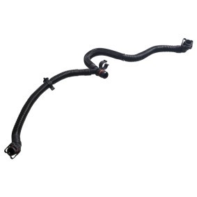 Köp Slang, vevhusventilation av FEBI BILSTEIN 185679 till det låga priset 711,30 kr