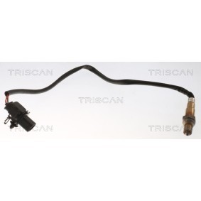 Lambdasonde von TRISCAN