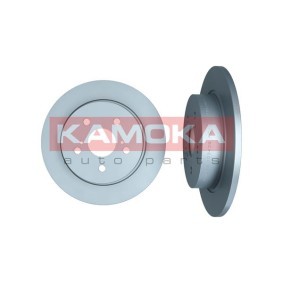 Bremsscheibe 103439