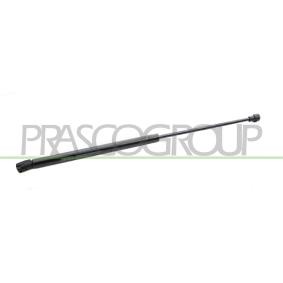 Heckklappendämpfer für VW von PRASCO