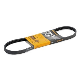 Compre Correia trapezoidal estriada da CONTITECH 4PK735 a um preço baixo por 8,97 €