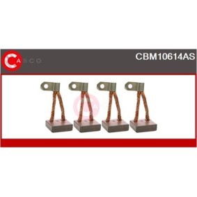 Startergenerator von CASCO