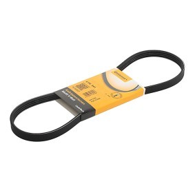 Compre Correia trapezoidal estriada da CONTITECH 4PK841 a um preço baixo por 7,43 €