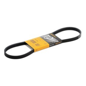 Compre Correia trapezoidal estriada da CONTITECH 4PK855 a um preço baixo por 9,11 €
