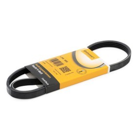 Compre Correia trapezoidal estriada da CONTITECH 4PK885 a um preço baixo por 8,96 €