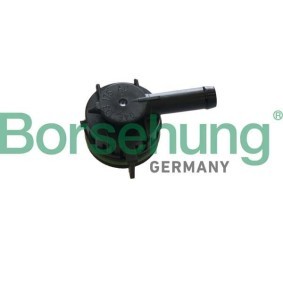 Ventil, Kurbelgehäuseentlüftung B12000 AUDI A1 von Borsehung