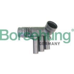 Ansaugschlauch, Luftfilter von Borsehung für Passat Variant (3G5, CB5) günstig online kaufen