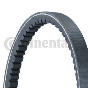 Comprar Correa trapezoidal de CONTITECH 11,2X820Ld a bajo precio de 7,78 €