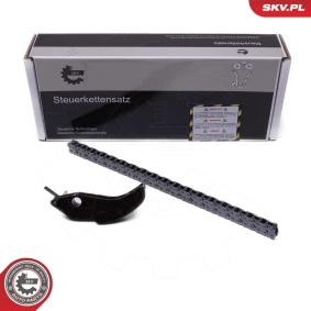 Achetez des Kit de chaînes, commande de pompe à huile ESEN SKV 21SKV252 à prix pour 41,50 €