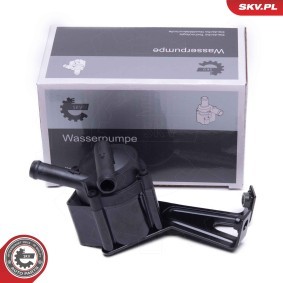 Zusatzwasserpumpe 22SKV050
