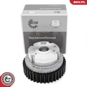 Acquista Regolatore albero a camme da ESEN SKV online per C-MAX (DM2) a prezzi moderati