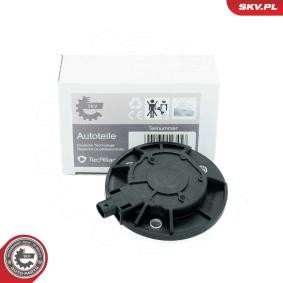 Achetez des Unité magnétique centrale, réglage d'arbres à came ESEN SKV 39SKV900 à prix pour 41,50 €