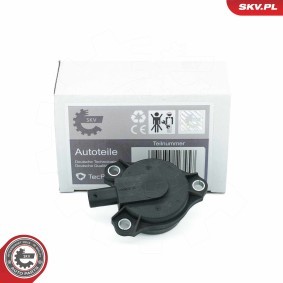 Acquista Magnete centrale, Regolazione albero a camme da ESEN SKV 39SKV903 a buon mercato per soli 43,81 €