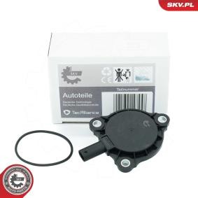 Achetez des Unité magnétique centrale, réglage d'arbres à came ESEN SKV 39SKV905 à prix pour 63,74 €