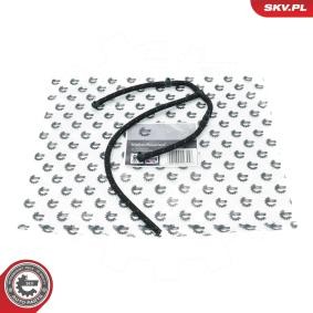 Achetez des Tuyau, carburant de fuite ESEN SKV 54SKV314 à prix pour 30,25 €
