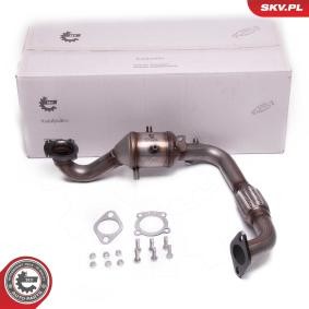 Katalysator 62SKV025