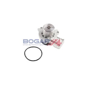 Achetez des Pompe à eau BOGAP A4234191 à prix pour 45,07 €