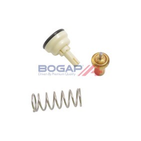 Comprar Termostato, refrigerante de BOGAP A4245147 a bajo precio de 14,26 €