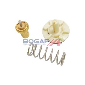 Comprar Termostato, refrigerante de BOGAP A4245148 a bajo precio de 14,26 €