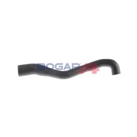 Ansaugschlauch, Luftfilter B1710119 von BOGAP günstig für 50,41 € online kaufen