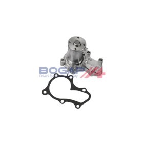 Wasserpumpe von BOGAP S4234100
