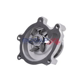 Wasserpumpe von BOGAP T4234110