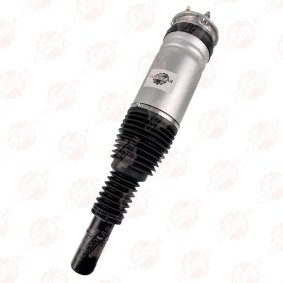 Federbein CSMCR01000