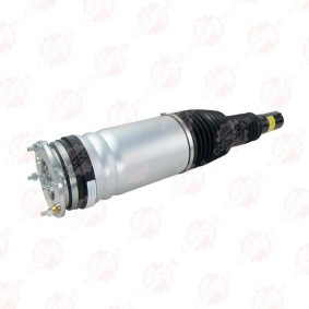 Federbein CSMCR01001