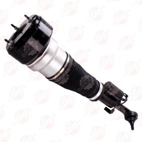 Federbein CSMCR01037