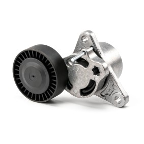 Compre Tensor de la correa trapecial poli v de PREXAparts online para Clase C T-modell (S205) a precios moderados