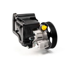 Achetez des Pompe de direction assistée PREXAparts P150316 à prix pour 220,43 €