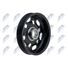 Achetez des Poulie damper (vilebrequin) NTY RKP-TY-043 à prix pour 51,62 €