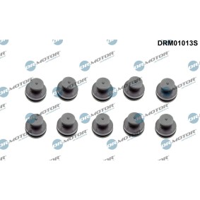 Osta Rajoitin, moottorikoppa DR.MOTOR AUTOMOTIVE:llä DRM01013S edullisesti hintaan 24,82 €